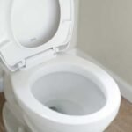 What Should I Do If My Toilet Is Clogged