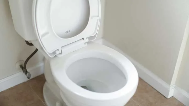 What Should I Do If My Toilet Is Clogged